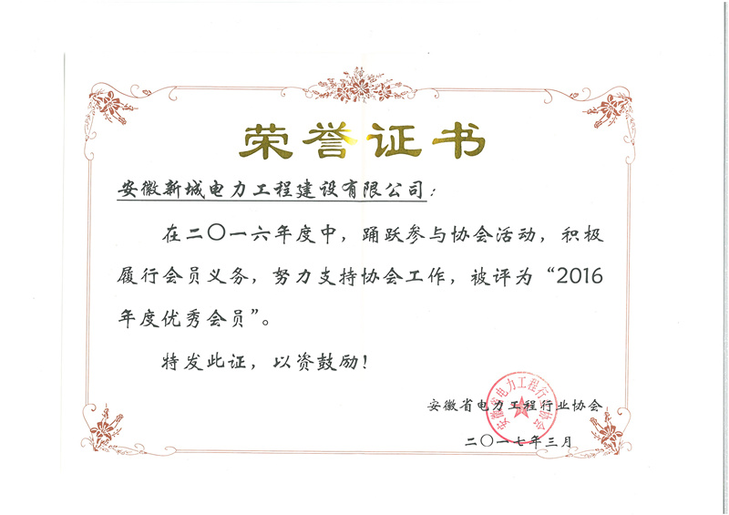 2016年度电力行业协会优秀会员