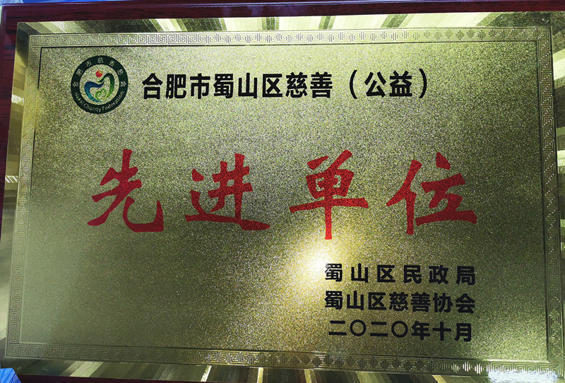 2020年度蜀山区慈善（公益）先进单位
