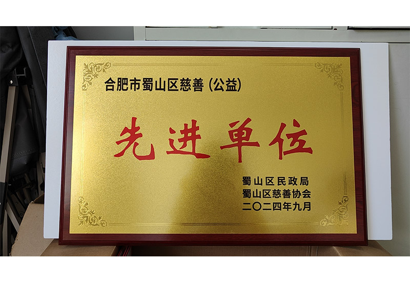合肥市蜀山区慈善先进单位